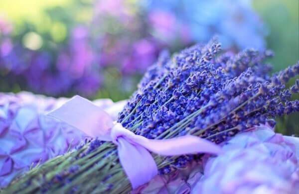 Aroma Segar Untuk Bangun Tidur